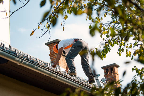 Best Metal Roofing Installation  in Iola, KS